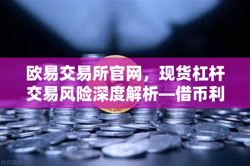 欧易交易所官网，现货杠杆交易风险深度解析—借币利息计算全攻略