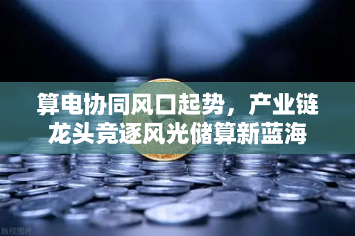 算电协同风口起势，产业链龙头竞逐风光储算新蓝海