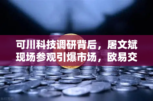 可川科技调研背后，屠文斌现场参观引爆市场，欧易交易所官网洞察游资新动向