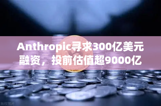 Anthropic寻求300亿美元融资，投前估值超9000亿，AI泡沫还是新起点？