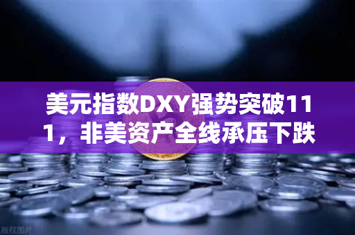 美元指数DXY强势突破111，非美资产全线承压下跌，全球金融市场动荡加剧
