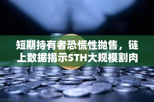 短期持有者恐慌性抛售，链上数据揭示STH大规模割肉离场，后市如何布局？
