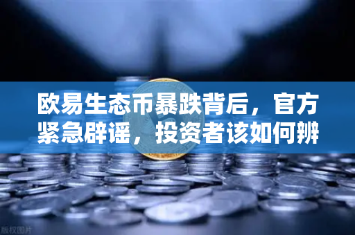 欧易生态币暴跌背后，官方紧急辟谣，投资者该如何辨别项目真伪？