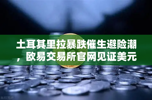 土耳其里拉暴跌催生避险潮，欧易交易所官网见证美元与比特币的黄金搭档