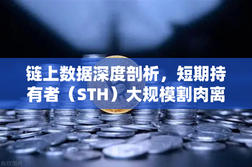 链上数据深度剖析，短期持有者（STH）大规模割肉离场，市场底部信号浮现？