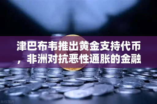 津巴布韦推出黄金支持代币，非洲对抗恶性通胀的金融革命