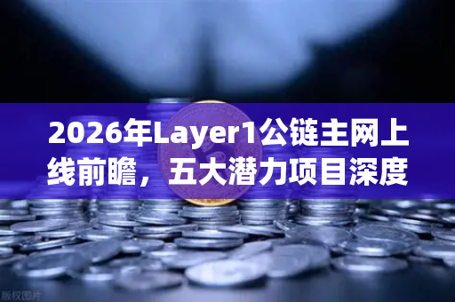 2026年Layer1公链主网上线前瞻，五大潜力项目深度盘点