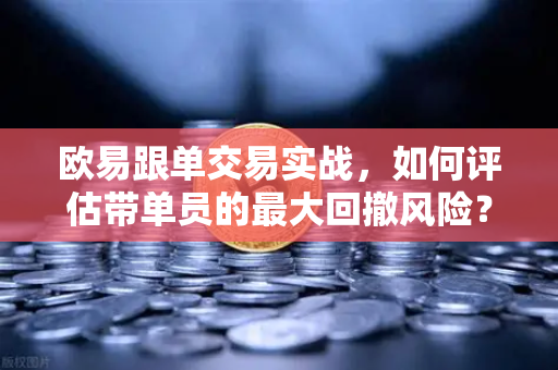 欧易跟单交易实战，如何评估带单员的最大回撤风险？
