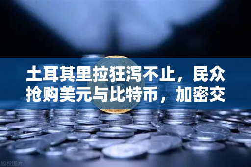 土耳其里拉狂泻不止，民众抢购美元与比特币，加密交易所成为资产避风港