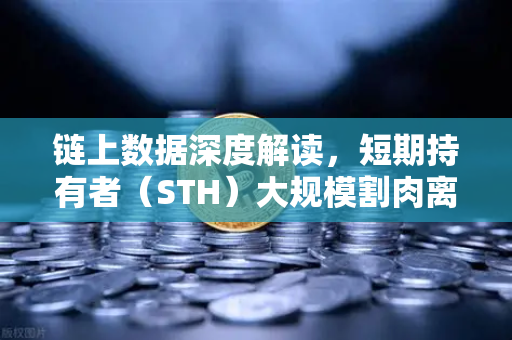 链上数据深度解读,短期持有者(STH)大规模割肉离场,市场底部信号是否已现?-第1张图片-欧易交易所 链上数据深度解读,短期持有者(STH)大规模割肉离场,市场底部信号是否已现?-第1张图片-欧易交易所