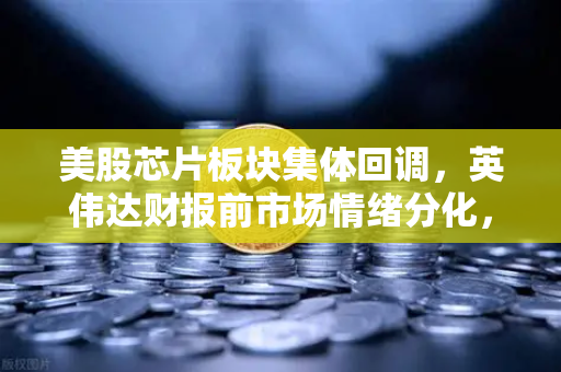 美股芯片板块集体回调，英伟达财报前市场情绪分化，投资者风险偏好承压-第1张图片-欧易交易所