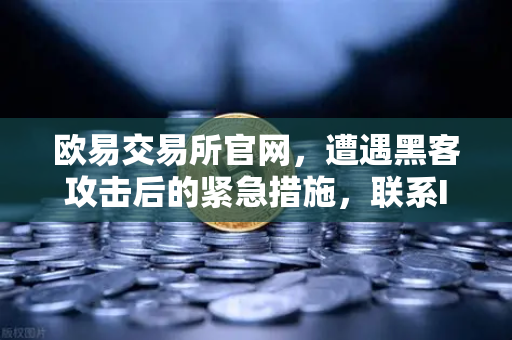 欧易交易所官网，遭遇黑客攻击后的紧急措施，联系Immunefi寻求白帽帮助