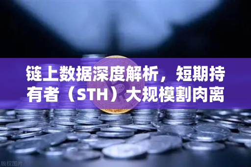 链上数据深度解析，短期持有者（STH）大规模割肉离场，市场底在何方？