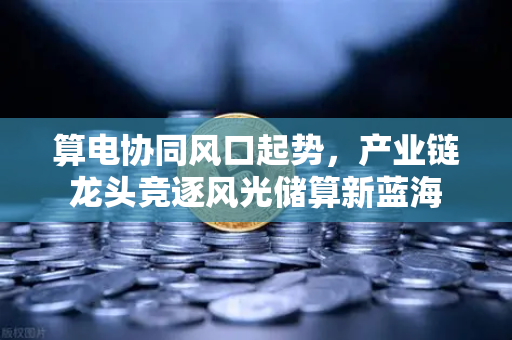 算电协同风口起势，产业链龙头竞逐风光储算新蓝海
