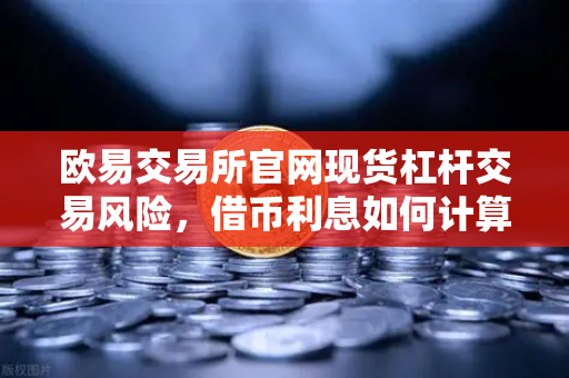 欧易交易所官网现货杠杆交易风险，借币利息如何计算？全面解析与常见问题