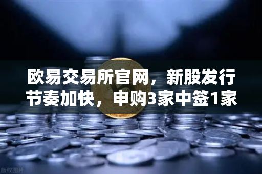 欧易交易所官网，新股发行节奏加快，申购3家中签1家上市1家深度解析