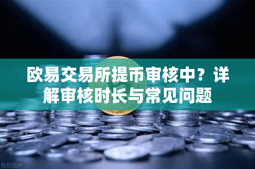 欧易交易所提币审核中？详解审核时长与常见问题