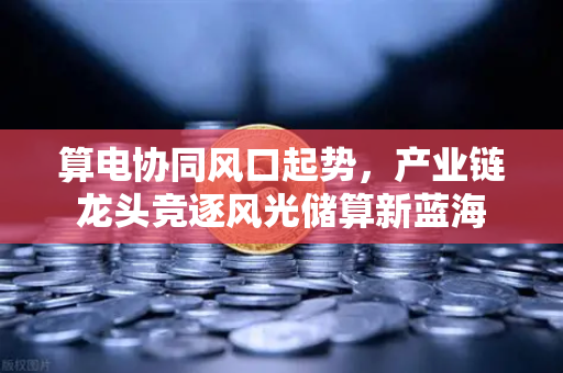 算电协同风口起势，产业链龙头竞逐风光储算新蓝海