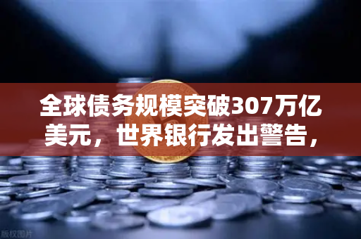全球债务规模突破307万亿美元，世界银行发出警告，金融风暴前夜的深度解析