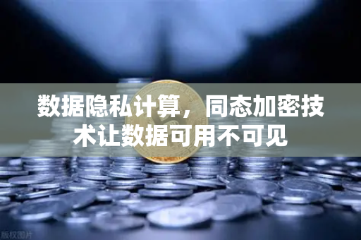 数据隐私计算，同态加密技术让数据可用不可见