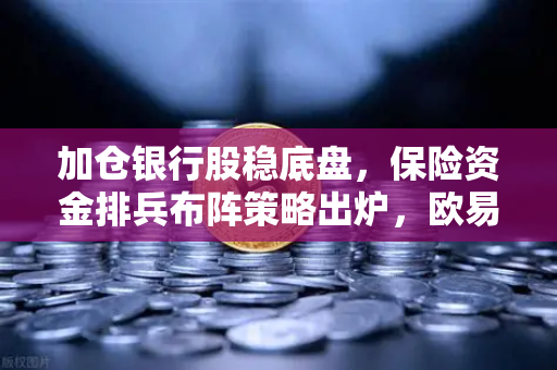 加仓银行股稳底盘，保险资金排兵布阵策略出炉，欧易交易所官网视角下的价值投资新动向