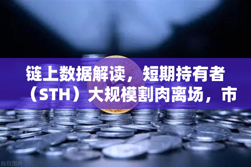 链上数据解读，短期持有者（STH）大规模割肉离场，市场底部是否已至？