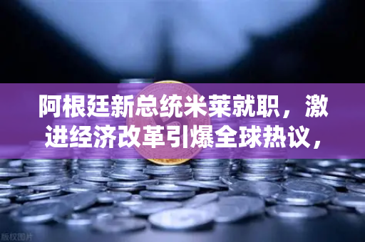 阿根廷新总统米莱就职，激进经济改革引爆全球热议，欧易交易所官网聚焦加密货币新机遇