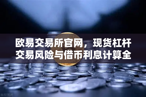 欧易交易所官网，现货杠杆交易风险与借币利息计算全解析