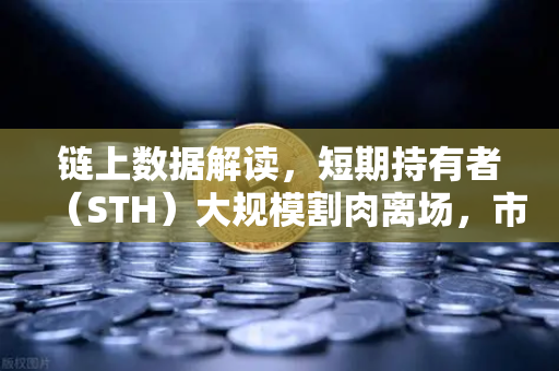 链上数据解读，短期持有者（STH）大规模割肉离场，市场底部信号已现？