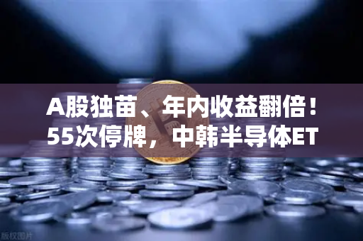 A股独苗、年内收益翻倍！55次停牌，中韩半导体ETF是机会还是坑？