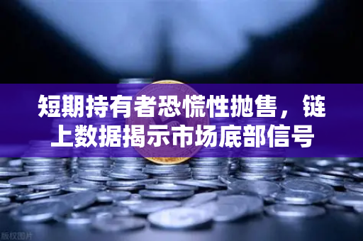短期持有者恐慌性抛售，链上数据揭示市场底部信号
