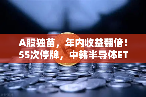 A股独苗，年内收益翻倍！55次停牌，中韩半导体ETF是机会还是坑？