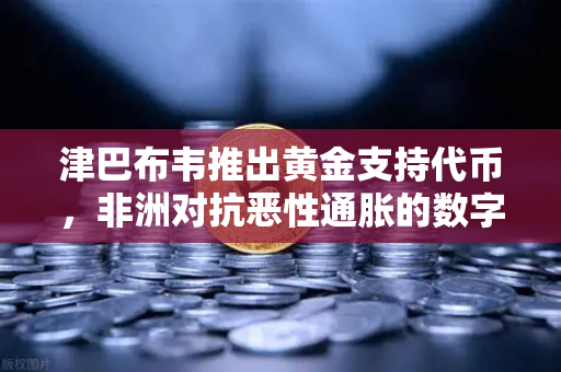 津巴布韦推出黄金支持代币，非洲对抗恶性通胀的数字货币新探索