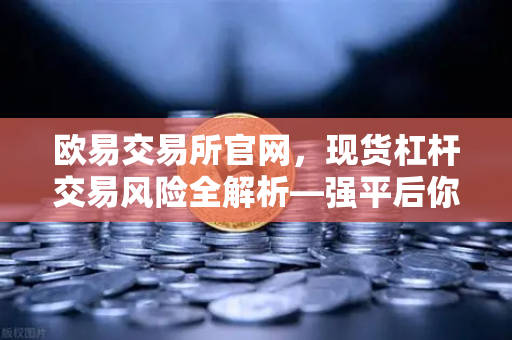 欧易交易所官网，现货杠杆交易风险全解析—强平后你的资产会发生什么？