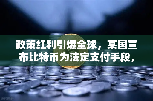 政策红利引爆全球，某国宣布比特币为法定支付手段，税收全免