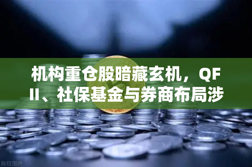 机构重仓股暗藏玄机，QFII、社保基金与券商布局涉币概念股深度解析