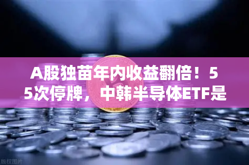 A股独苗年内收益翻倍！55次停牌，中韩半导体ETF是机会还是坑？