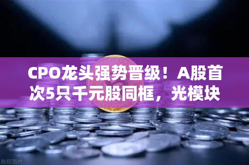 CPO龙头强势晋级！A股首次5只千元股同框，光模块与区块链数据传输的科技共振