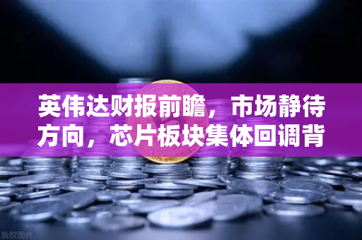 英伟达财报前瞻，市场静待方向，芯片板块集体回调背后的真相-第1张图片-欧易交易所