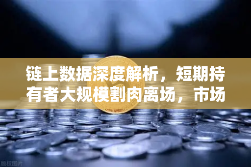 链上数据深度解析，短期持有者大规模割肉离场，市场底部信号浮现？
