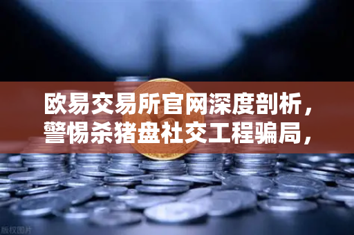 欧易交易所官网深度剖析，警惕杀猪盘社交工程骗局，守护数字资产安全