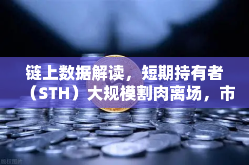 链上数据解读，短期持有者（STH）大规模割肉离场，市场见底信号还是崩盘前奏？