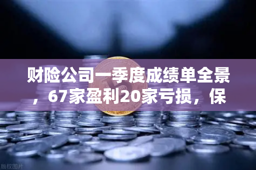 财险公司一季度成绩单全景，67家盈利20家亏损，保险资金入市偏好生变
