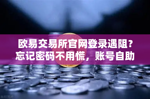 欧易交易所官网登录遇阻？忘记密码不用慌，账号自助找回流程与人脸识别演示