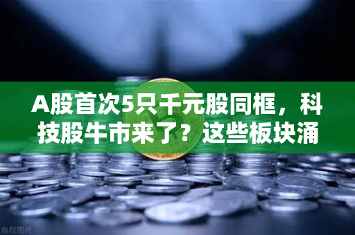 A股首次5只千元股同框，科技股牛市来了？这些板块涌现最多机会