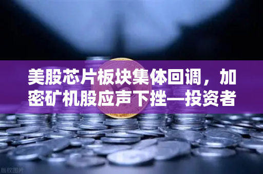 美股芯片板块集体回调，加密矿机股应声下挫—投资者在担心什么？