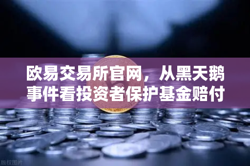 欧易交易所官网，从黑天鹅事件看投资者保护基金赔付机制如何重塑信任