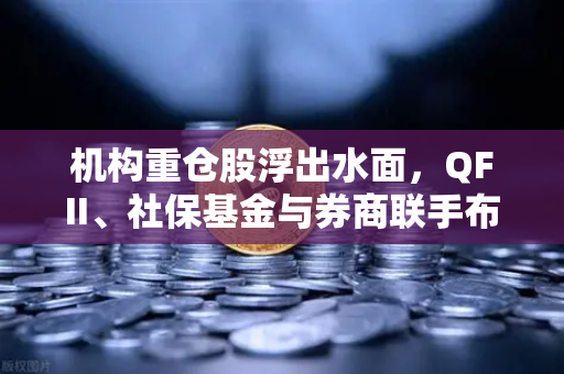 机构重仓股浮出水面，QFII、社保基金与券商联手布局涉币概念股，释放何种信号？