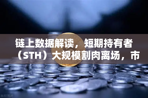 链上数据解读，短期持有者（STH）大规模割肉离场，市场见底信号是否已经浮现？