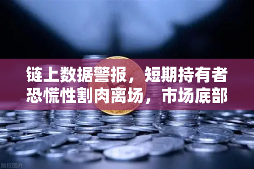 链上数据警报，短期持有者恐慌性割肉离场，市场底部信号是否已现？